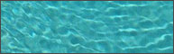 Pool Remodeling